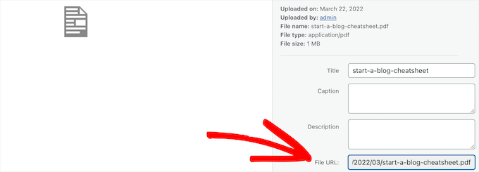 Copiar URL del archivo Copiar URL del archivo